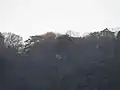 城山公園付近から眺める大峰城