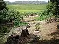 カワイヌイ湿地の景観
