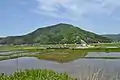 若狭町内の沿線風景