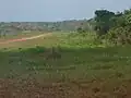 乾季のオボ・ミッション飛行場