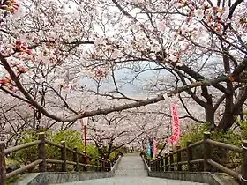 大法師公園