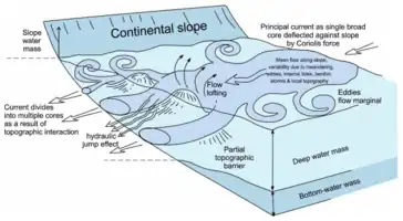 Identifying the current core, eddies and strands within a deep-water mass 
