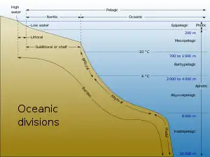 本図は、海岸線からの距離と水深によって分けられる大洋の区分を示す。