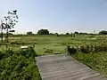 本丸