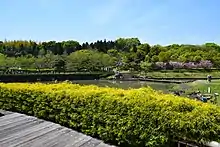 於大公園（2015年4月）