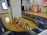 手荷物受取レーンと秋田犬