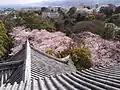 天守から城址公園を見る　2009年