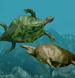 オドントケリスOdontochelys semitestacea