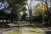 サイクリングロード