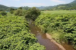 小鉾岸川 2012年7月17日撮影