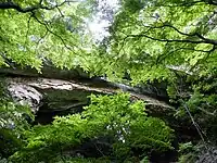 御橋観音の石橋(2009/05)