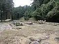 全景