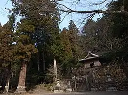 全景