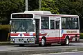一般路線バス（現在この車は大野竹田バスに移籍）