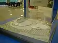 大分スポーツ公園総合競技場（模型・2004年撮影）画像右側には後に大分県立武道スポーツセンターが整備された（デザインは画像と異なる）。