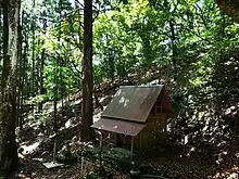 大岩神社とアカガシ群生林