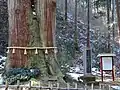 三本杉