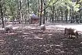 ひつじ広場
