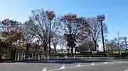 野球場・サッカー場
