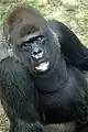 王子動物園の個体