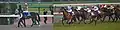 有馬記念、本馬場入場と最後の直線