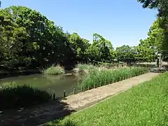ガン池