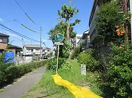 岡崎市立広幡小学校へ至る緑道。1981年に開設された。