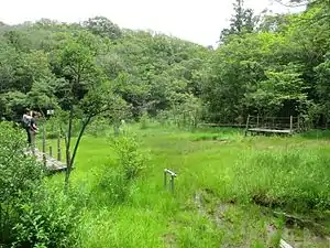 北山湿地