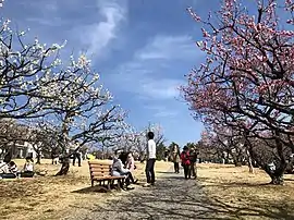 梅林