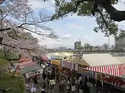 岡崎の桜まつり