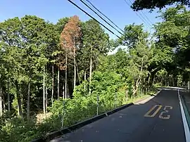 道路の左側の森林が丹坂町。道路の右側は岡崎市立恵田小学校の敷地。