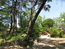 若松公園