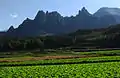 尾根岩