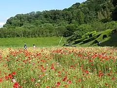 奥殿陣屋に隣接する花畑