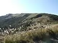 山頂部