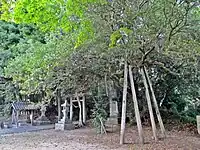 伊勢大御神下大神宮のヒイラギ南相馬市天然記念物指定