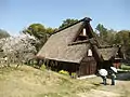 飛騨白川の合掌造り民家(重要有形民俗文化財)