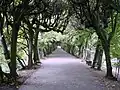 アダム・ミツキェヴィチ公園