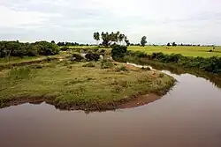 Oluvilの水田