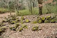 大廻小廻山城跡