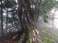 19靡 行仙岳