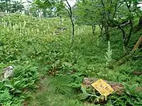 46靡 舟の多和