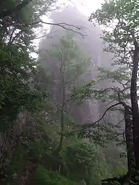 47靡 五鈷嶺