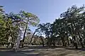 時計塔