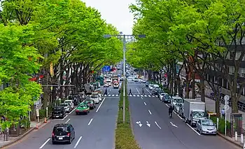 港区~渋谷区、表参道明治神宮の参道として整備されたケヤキ並木。日本国内外の有名ブランドの店舗が数多く立並ぶ。