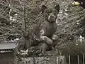 女化神社の狛犬（向かって左）