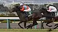 重賞初制覇となったラジオNIKKEI杯