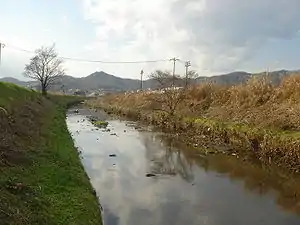 大根川 2007年1月8日撮影