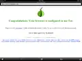 iPadで稼働するOnion Browser