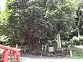 ビランジュ